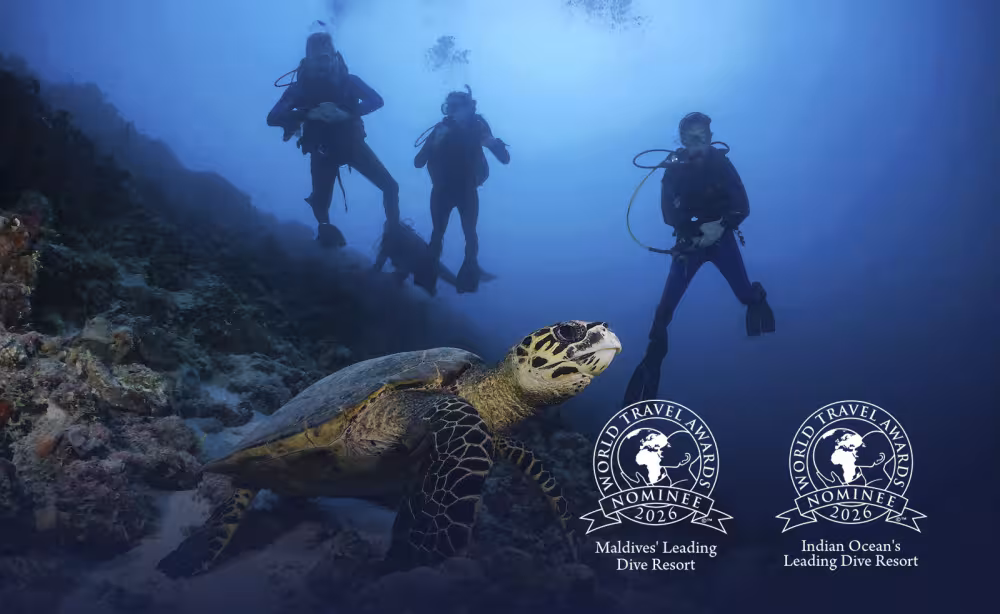 Canareef Resort Maldives Nominated for Prestigious World Travel Awards 2026
