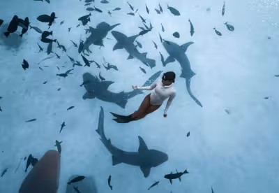 Siyam World Highlights 10 Summer Experiences in the Maldives